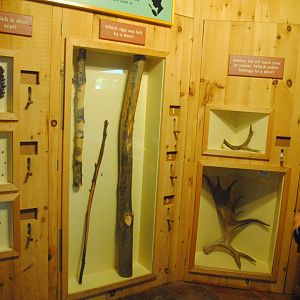 Deer interpretive materials