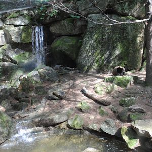 Part of River Otter exhibit