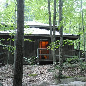 Black Bear viewing shelter