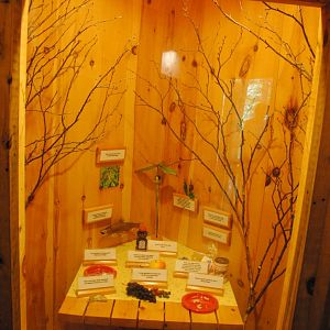 Black Bear interpretive materials