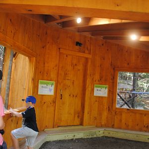 Raptor viewing shelter