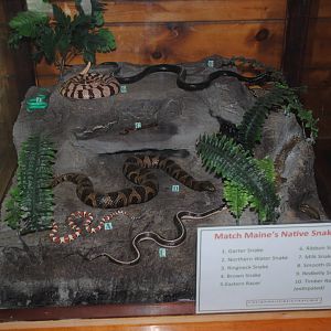 Visitors' Center interpretive materials