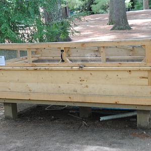 Snapping Turtle exhibit