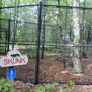 Skunk exhibit (empty at the time of my visit)