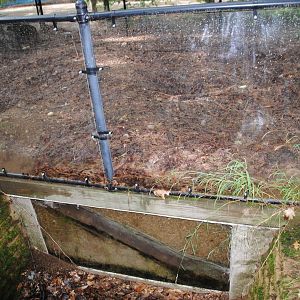 Woodchuck exhibit (burrow view)