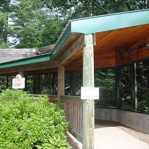 Canadian Lynx exhibit