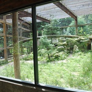 Part of Cougar exhibit