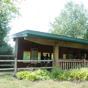 Black Bear viewing area
