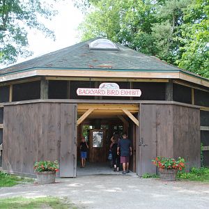 Backyard Birds exhibit