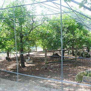 Ground Birds aviary (Wild Turkey, Peacocks, Common Pheasants)