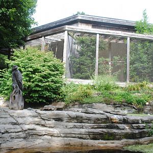 Eagles' exhibit (two adjacent exhibits for Bald and Golden Eagle)