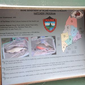 Fish Hatchery info