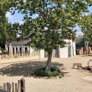 3 species on one photo