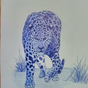 Indian leopard