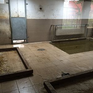 Tapir indoor exhibit 10.2020.