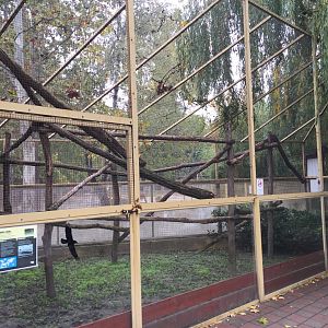 Linnaeu's two-toad sloth, hermann's, greek and maybe african spurred tortoise enclosure 10.2020.