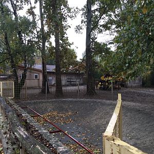 South American tapir outdoor exhibit 10.2020.
