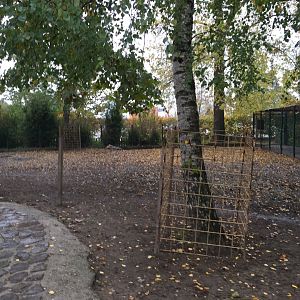 South american tapir exhibit 10.2020.