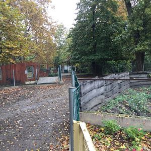 South American tapir exhibit 10.2020.