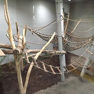 Chimpanzee indoor enclosure 10.2020.