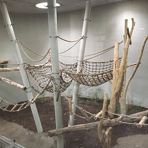 Chimpanzee indoor enclosure 10.2020.