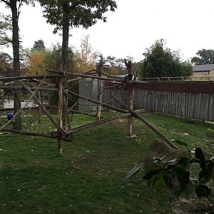 Part of the chimpanzee enclosure 10.2020.