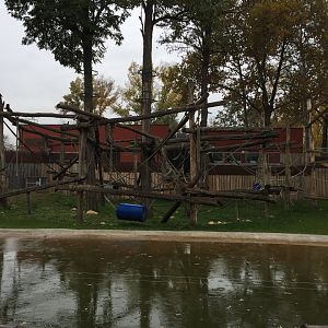 Part of the chimpanzee enclosure 10.2020.