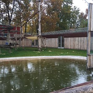 Part of the chimpanzee enclosure 10.2020.