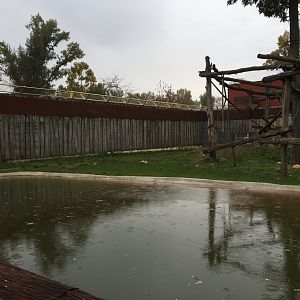 Part of the chimpanzee enclosure 10.2020.