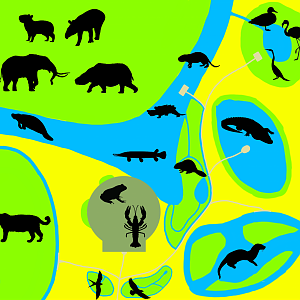 Florida Wildlife Conservation Center - Wetlands