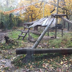 Jaguar exhibit 10.2020.