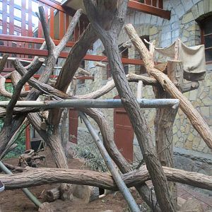 Tree kangaroo enclosure