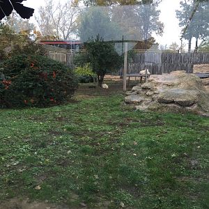 Lion exhibit 10.2020.