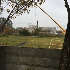 Elephant house 10.2020.