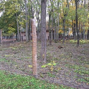 Lowland anoa exhibit 10.2020.