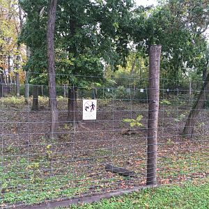 Lowland anoa exhibit 10.2020.