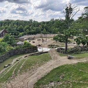 Elephant enclosure from above