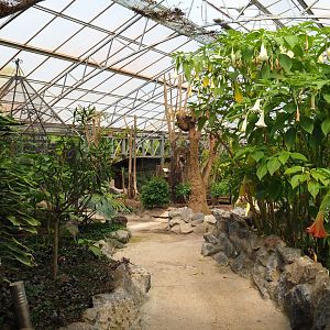 View in the tropical hall, 2021-06-15