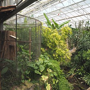 Blue-winged kookaburra aviary and part of the Pond slider turtle exhibit, 2021-06-15