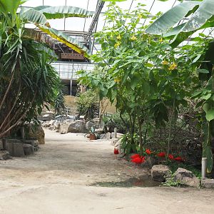 View in the tropical hall, 2021-06-15