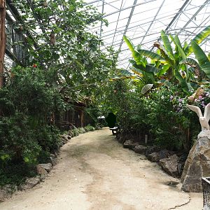 View in the tropical hall, 2021-06-15