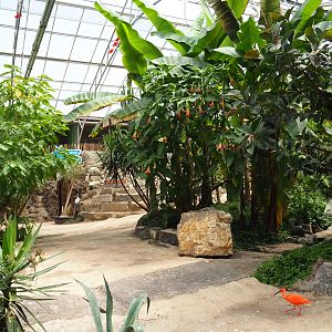 View in the tropical hall, 2021-06-15