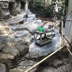 Tropics trail- construction on former Visayan warty pig exhibit