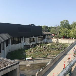 Overview of Japanese Macaque exhibit/main building