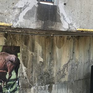 42 year-old concrete ramp showing it’s age