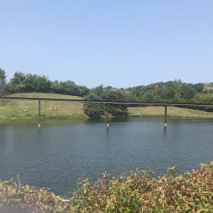 Former Musk Oxen exhibit (current Przewalski’s horse exhibit)