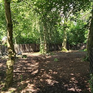 Male tapir enclosure