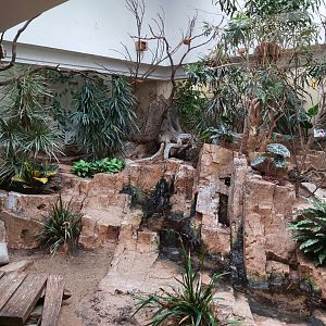 Enclosure in Bird House