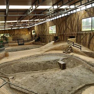 Crocodile Park (Torremolinos): indoor nile crocodile enclosure