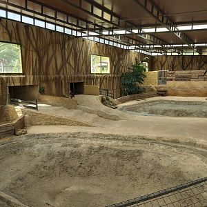 Crocodile Park (Torremolinos): indoor nile crocodile enclosure